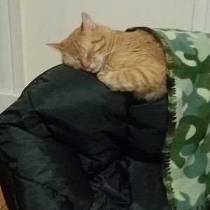 Meet your Posher, Sandra